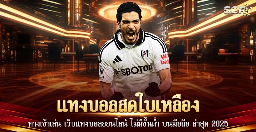 แทงบอลสดใบเหลือง