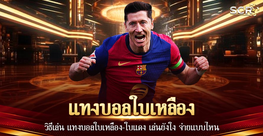 แทงบอลใบเหลือง