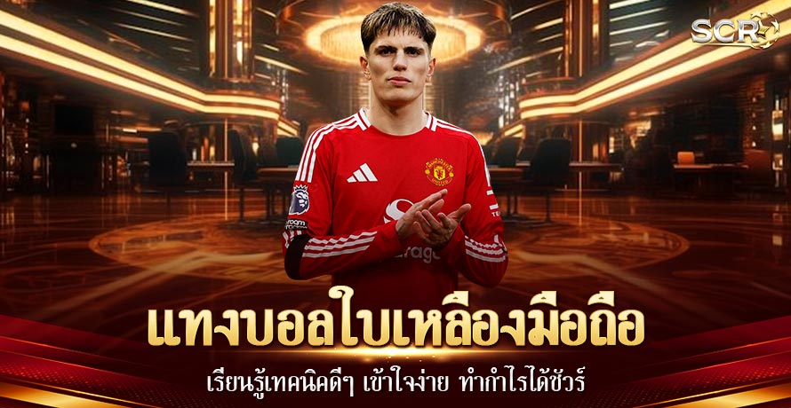 แทงบอลใบเหลืองมือถือ