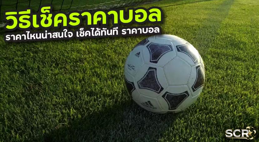 วิธีเช็คราคาบอล ผ่านมือถือ